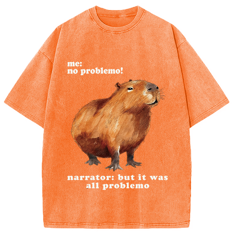Tokyocanvas All Problemo, No Panic Washed T-Shirt