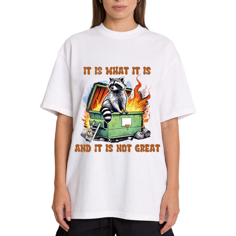 Tokyocanvas It is What Not Great Raccoon Meme Classic T-Shirt