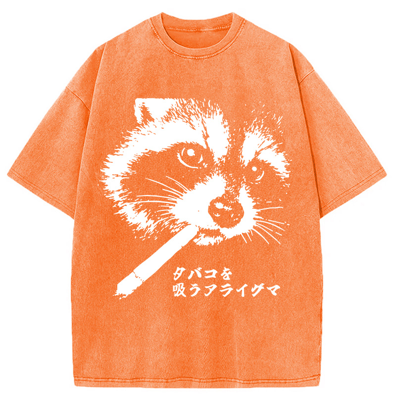 Tokyocanvas Somking Raccoon Washed T-Shirt