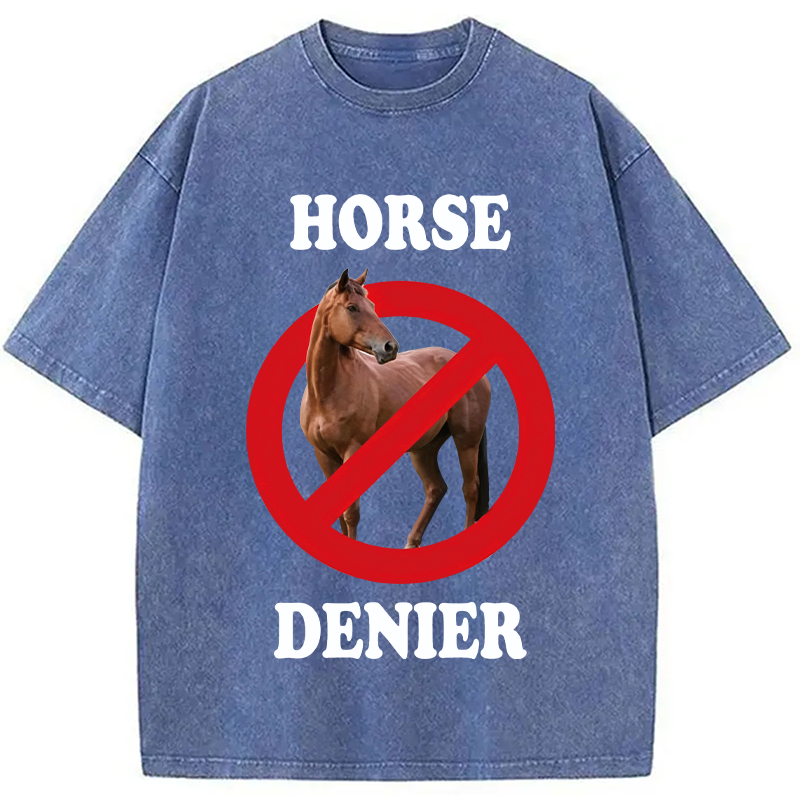 Tokyocanvas Horse Denier Meme Washed T-Shirt
