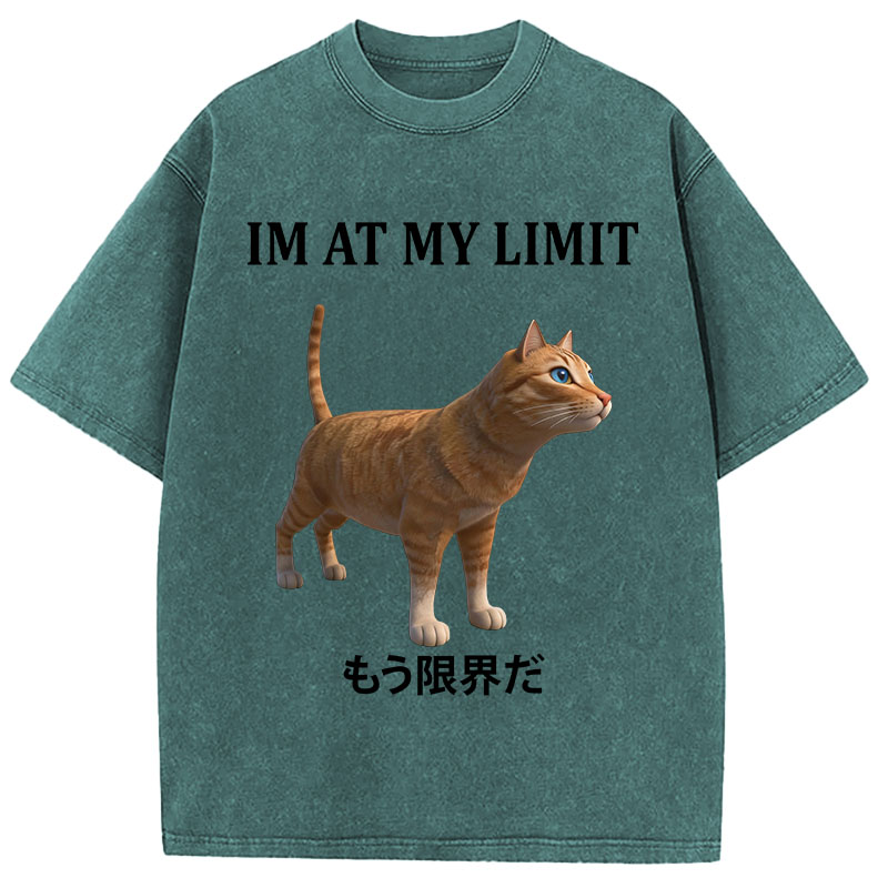 Tokyocanvas Poly Cat At My Limit Washed T-Shirt