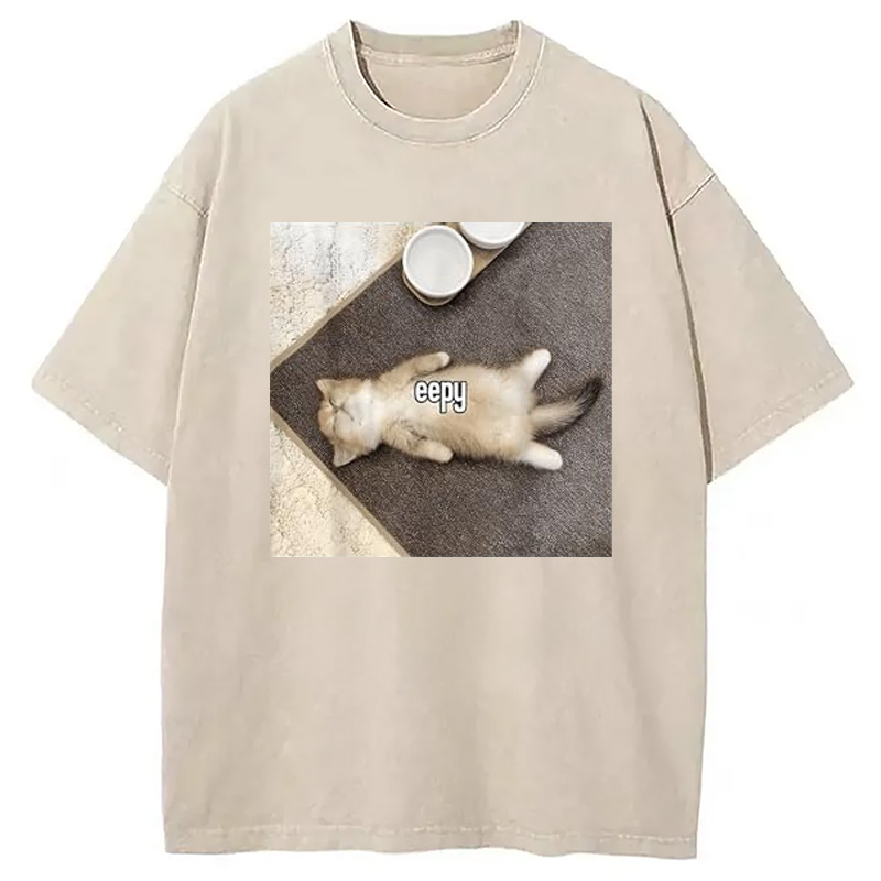 Tokyocanvas Eepy Funny Cat Meme Washed T-Shirt