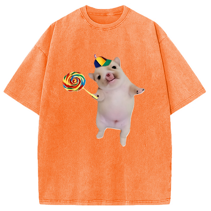 Tokyocanvas Funny Silly Dog with Lollipop Meme Washed T-Shirt