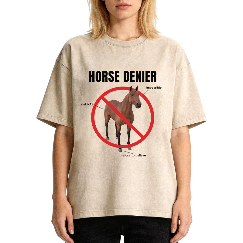 Tokyocanvas Horse Denier Analysis Washed T-Shirt