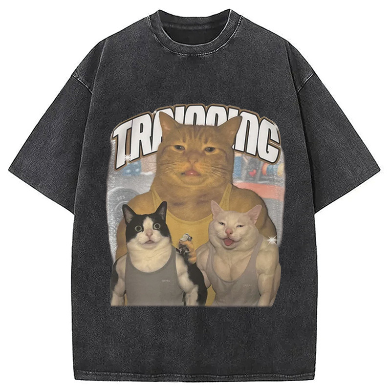 Tokyocanvas Muscle Cats Washed T-Shirt