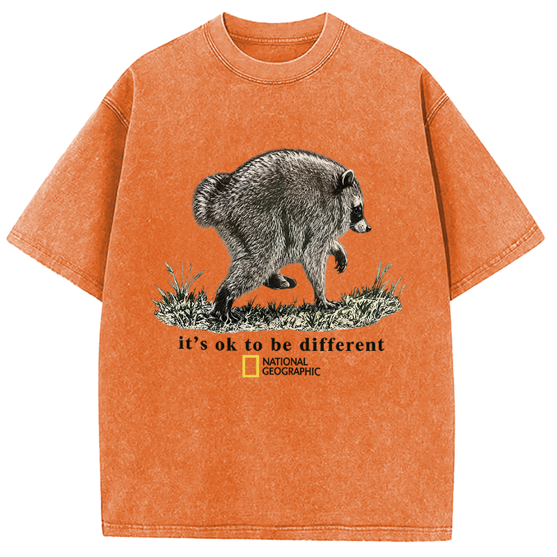 Tokyocanvas It’s OK to be Different Washed T-Shirt