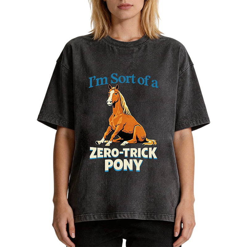 Tokyocanvas Zero Trick Pony Washed T-Shirt