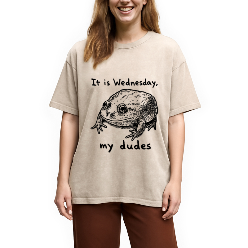 Tokyocanvas Wednesday Frog Vintage Washed T-Shirt