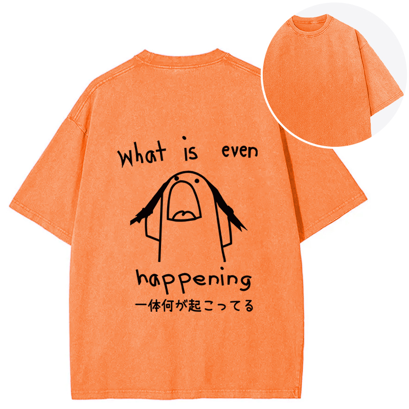 Tokyocanvas What Is Even Happening Back Washed T-Shirt