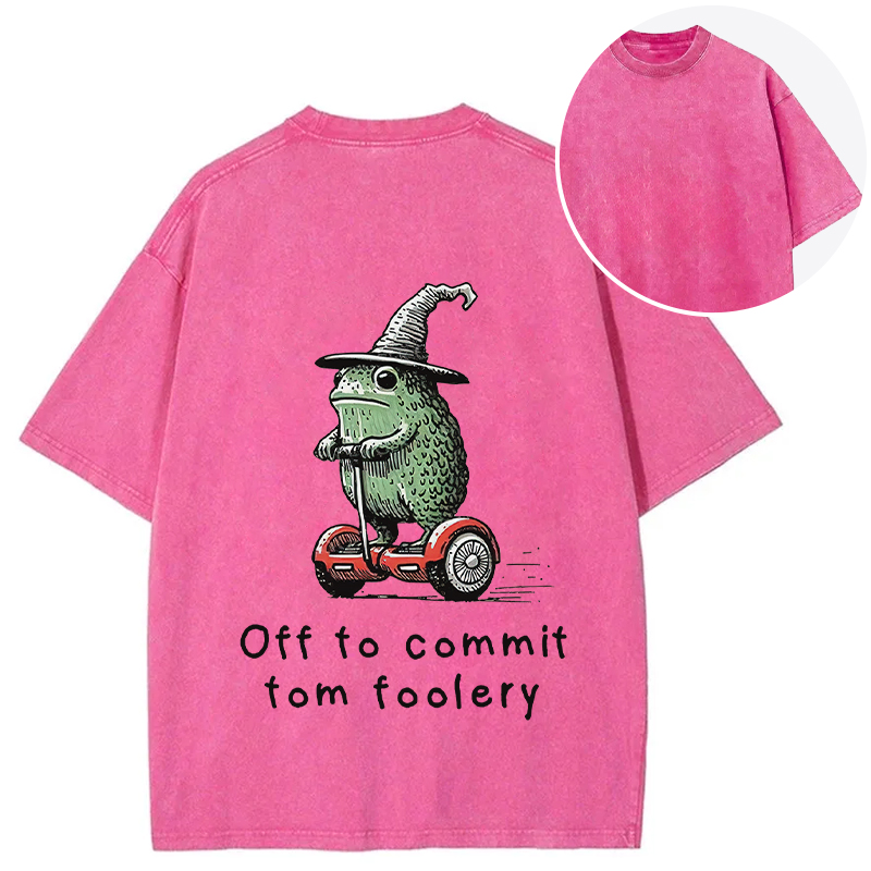 Tokyocanvas Frog Riding A Balance Scooter Back Washed T-Shirt