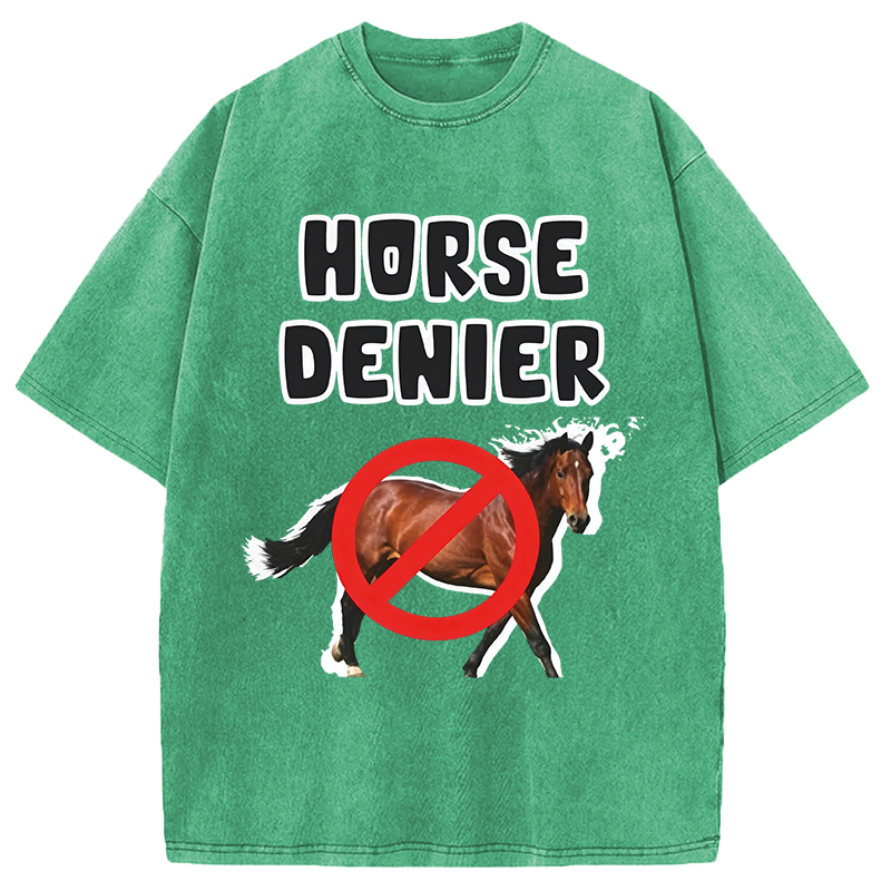 Tokyocanvas Horse Denier Funny Meme Washed T-Shirt