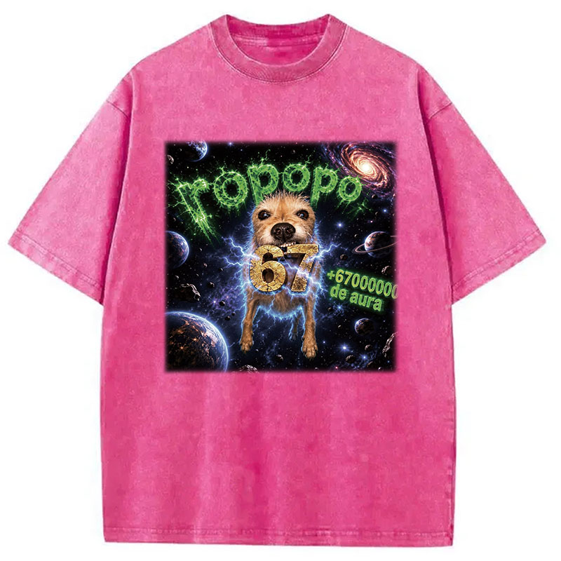 Tokyocanvas Ropopo Aura Dog Washed T-Shirt