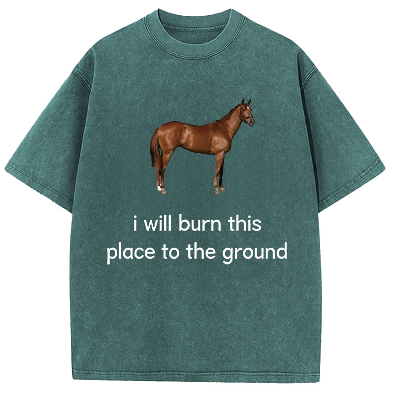 Tokyocanvas I Will Burn This Place To The Ground Washed T-Shirt