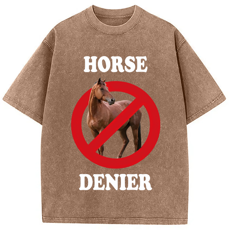 Tokyocanvas Horse Denier Meme Washed T-Shirt