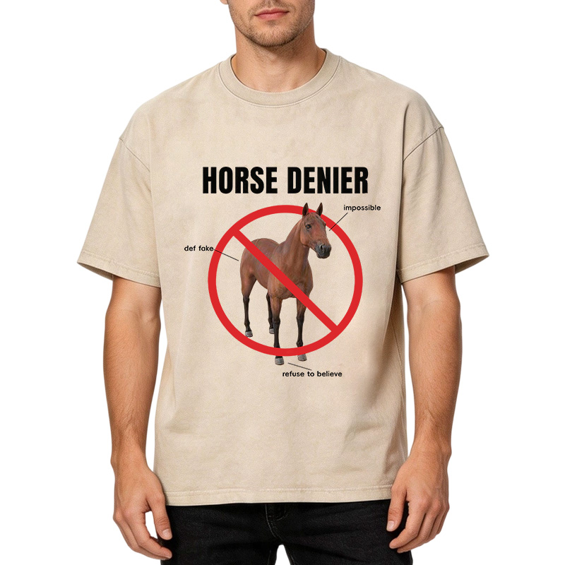 Tokyocanvas Horse Denier Analysis Washed T-Shirt