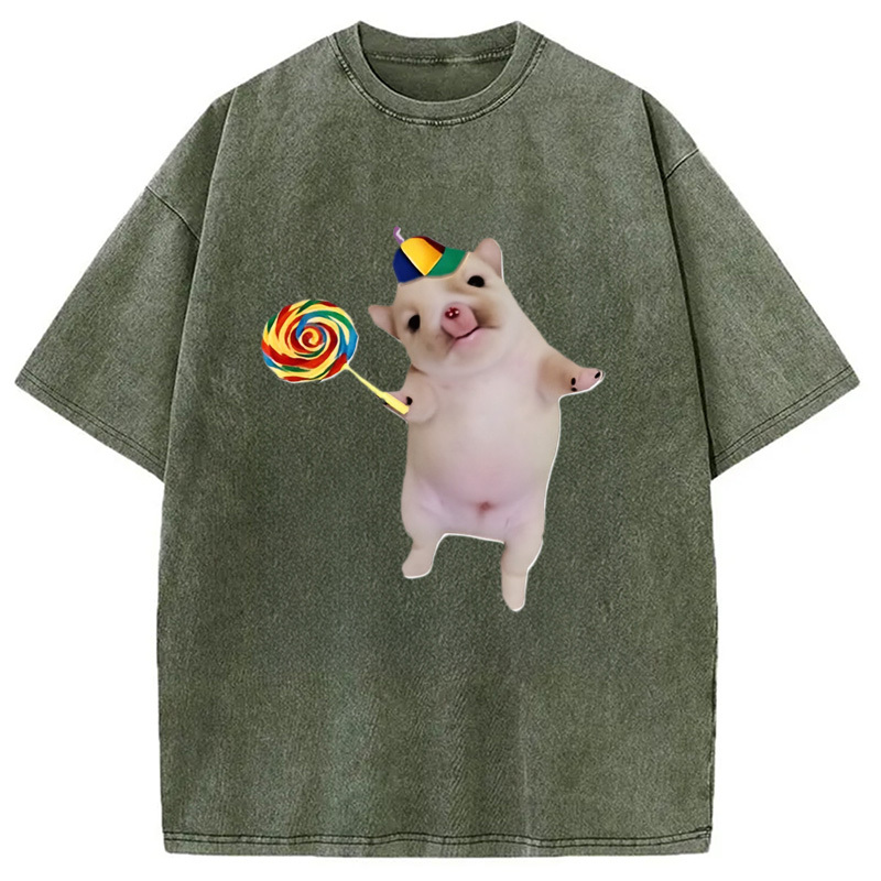 Tokyocanvas Funny Silly Dog with Lollipop Meme Washed T-Shirt