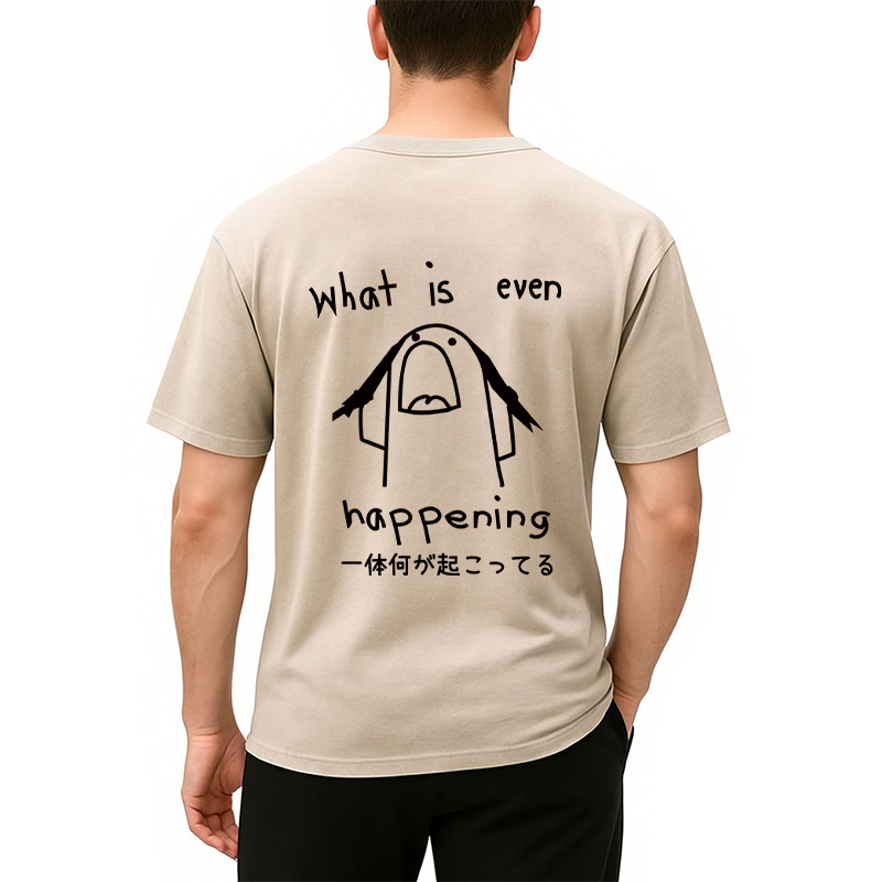 Tokyocanvas What Is Even Happening Back Washed T-Shirt