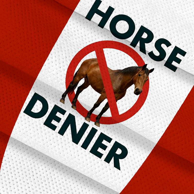 Tokyocanvas Funny Horse Denier Conspiracy Theory Jersey Short