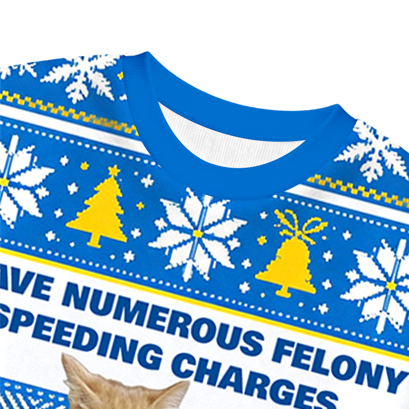 Tokyocanvas I Have Numerous Felonies For Speeding Christmas Ugly Sweatshirt