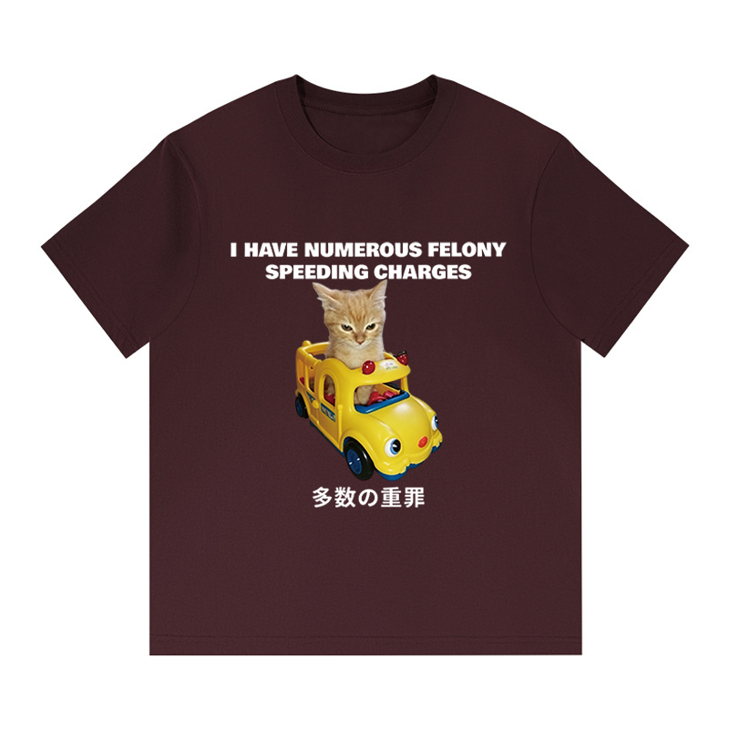 Tokyocanvas I Have Numerous Felonies For Speeding Boxy T-shirt