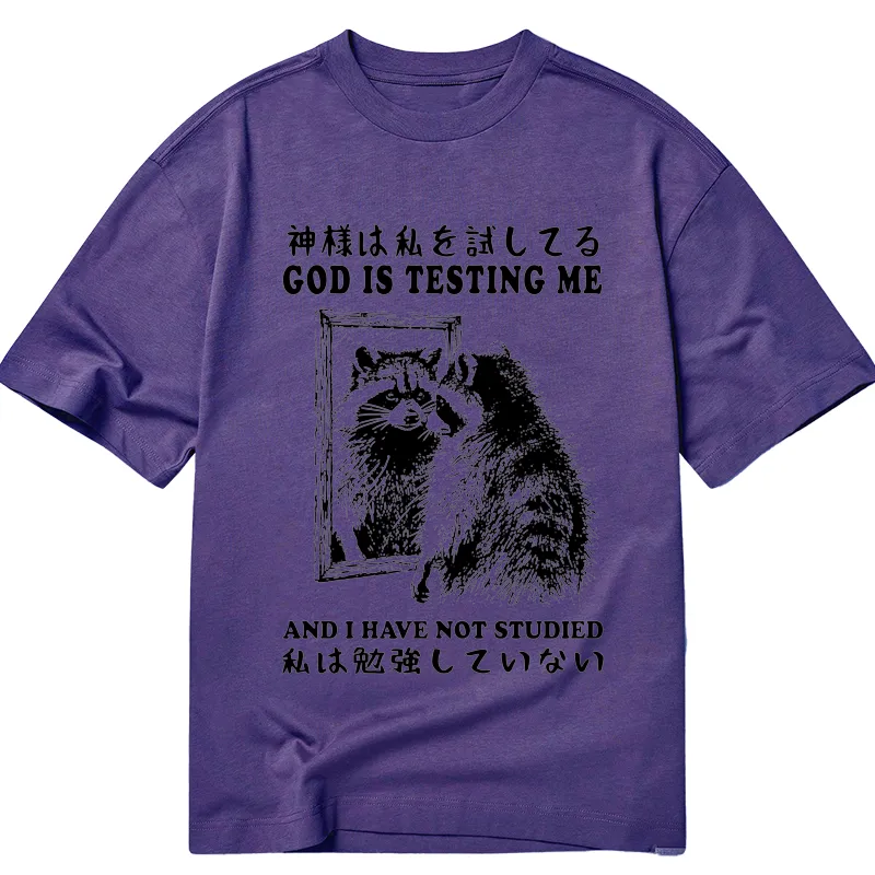 Tokyocanvas Raccoon Not Studied Classic T-Shirt