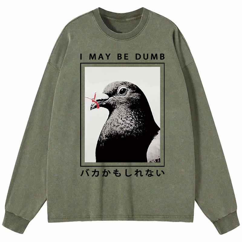 Tokyocanvas I May Be Dumb Funny Long Sleeve Washed T-Shirt