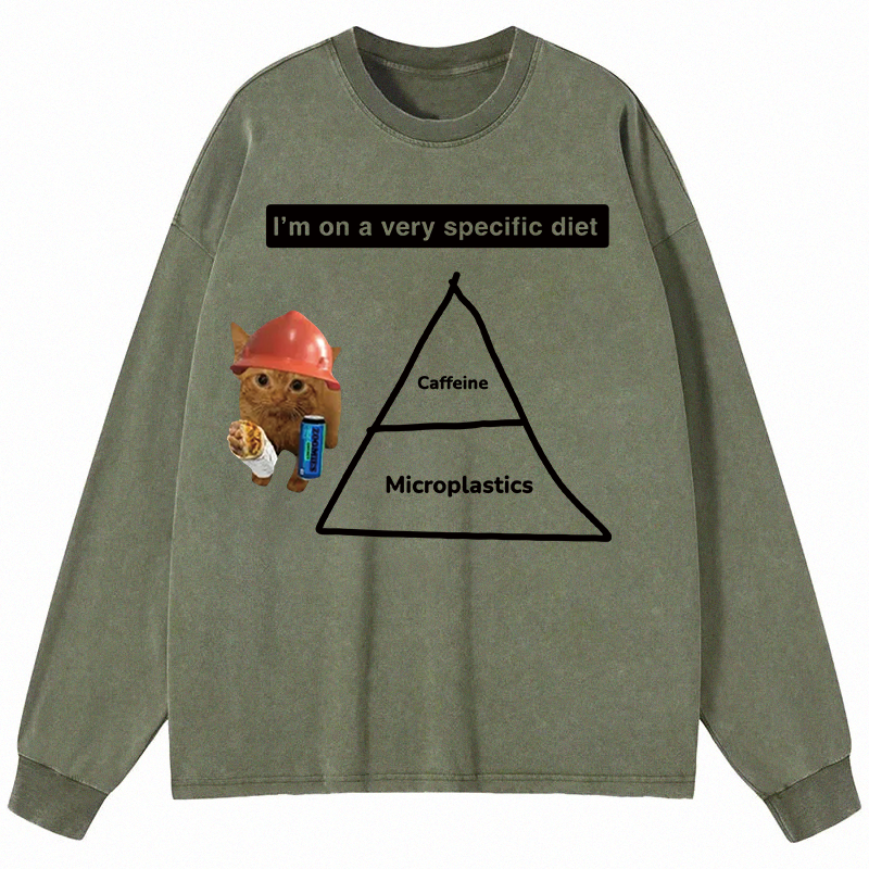 Tokyocanvas I'm On A Very Specific Diet Long Sleeve Washed T-Shirt