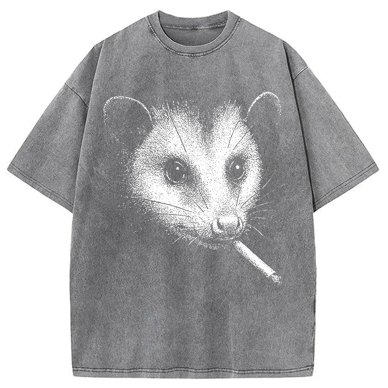 Tokyocanvas Smoking Possum Meme Washed T-Shirt