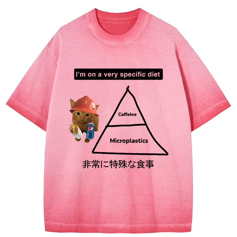 Tokyocanvas A Very Specific Diet Cat Meme Gradient Washed T-Shirt