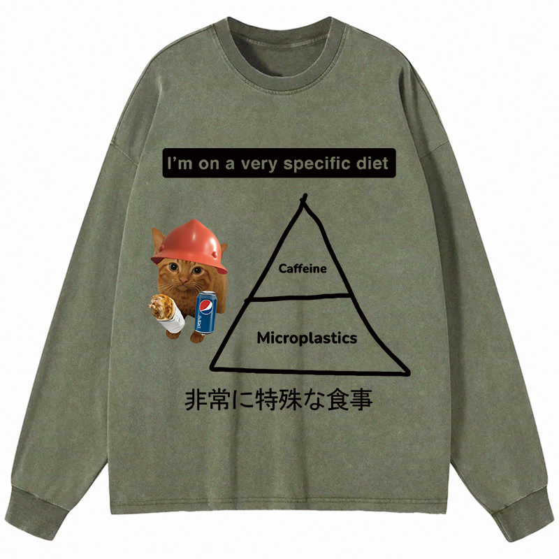 Tokyocanvas A Very Specific Diet Cat Meme Long Sleeve Washed T-Shirt