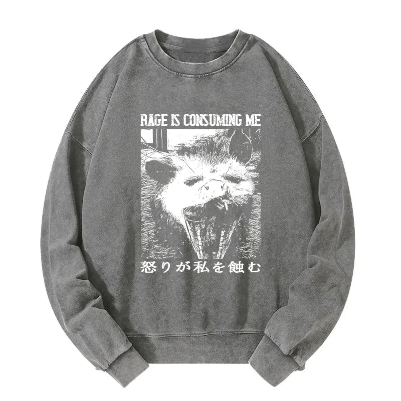 Tokyocanvas Rage Is Consuming Me Opossum Washed Sweatshirt