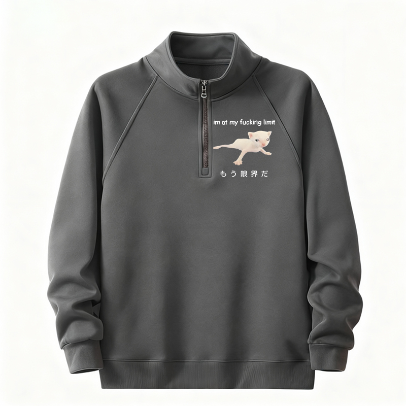Tokyocanvas Cat Reaching Its Limit Half-Zip Sweatshirt