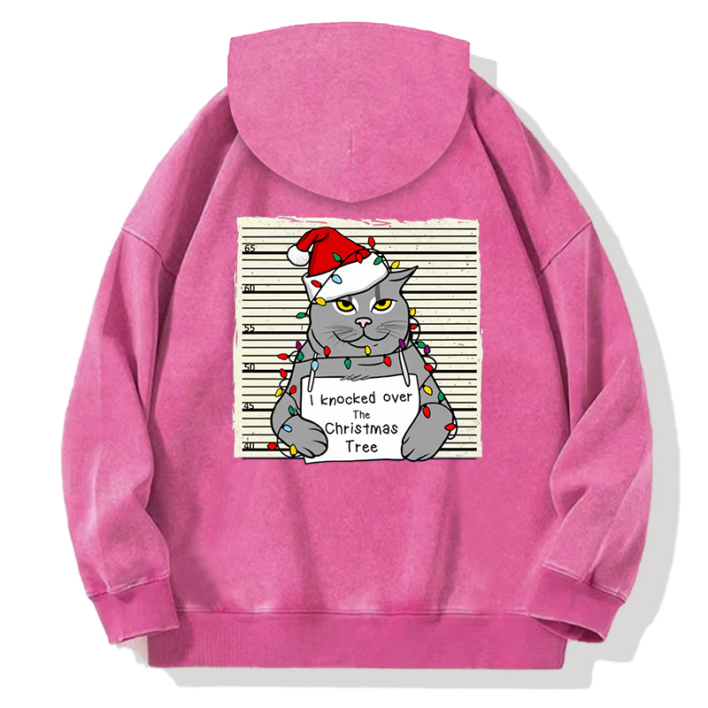 Tokyocanvas Christmas Cat In Jail Back Washed Hoodie