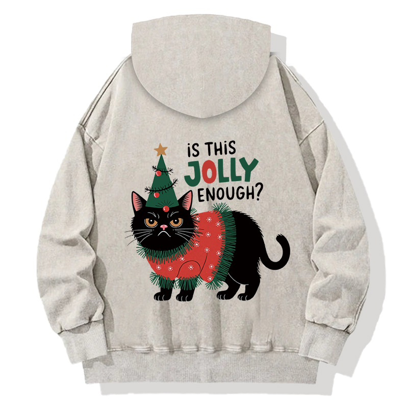Tokyocanvas Christmas-humor Cat Back Washed Hoodie