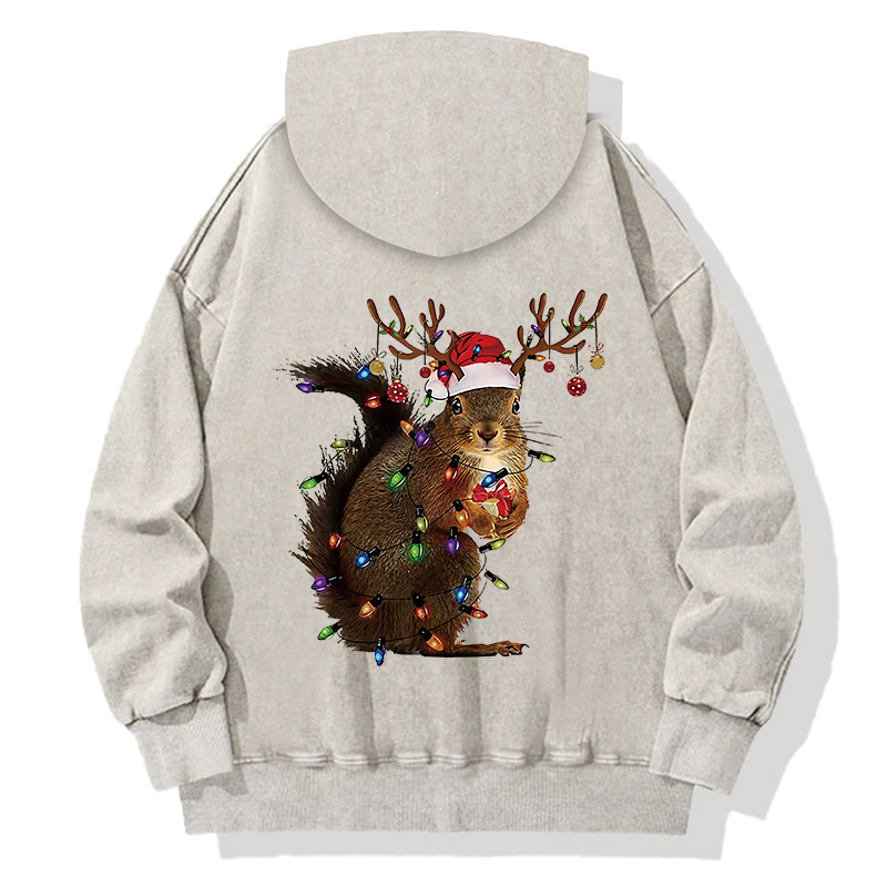 Tokyocanvas Christmas Squirrel Back Washed Hoodie
