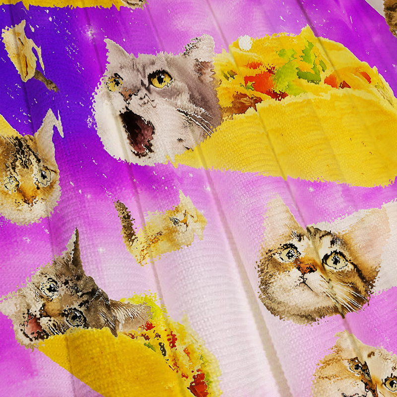 Tokyocanvas Funny Taco Cat Casual Ugly Sweatshirt