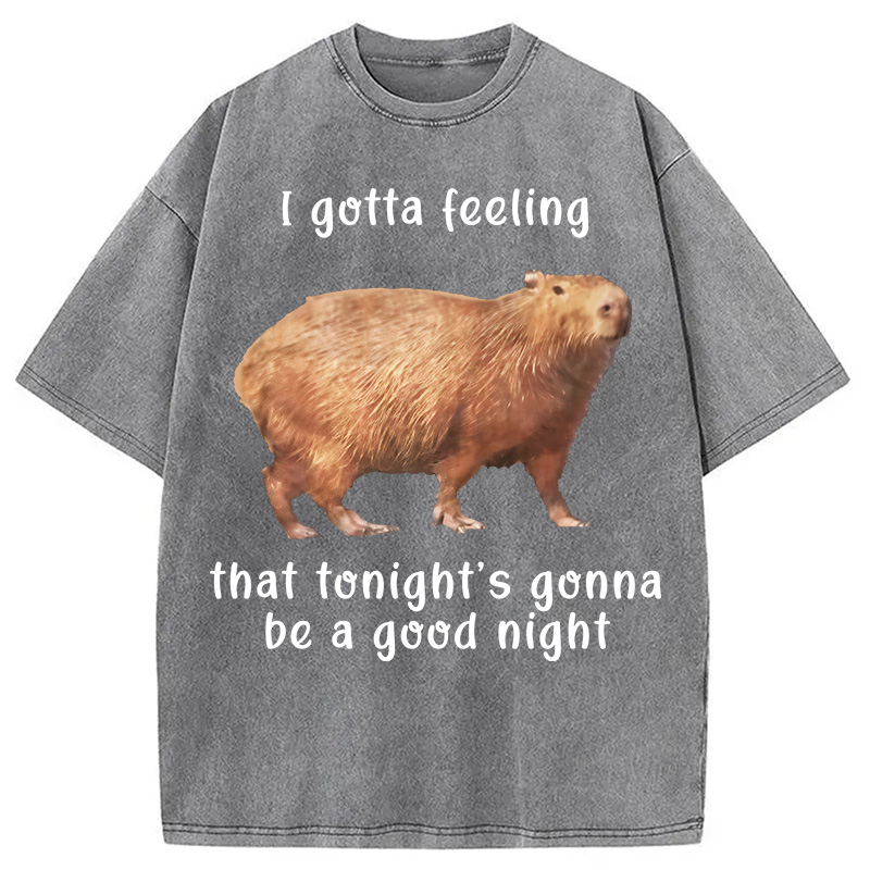 Tokyocanvas Capybara Gotta Feeling Washed T-Shirt