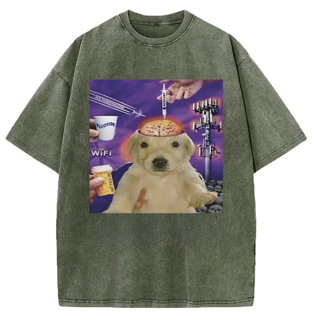 Tokyocanvas Brainwashed Jotchua Meme Washed T-Shirt