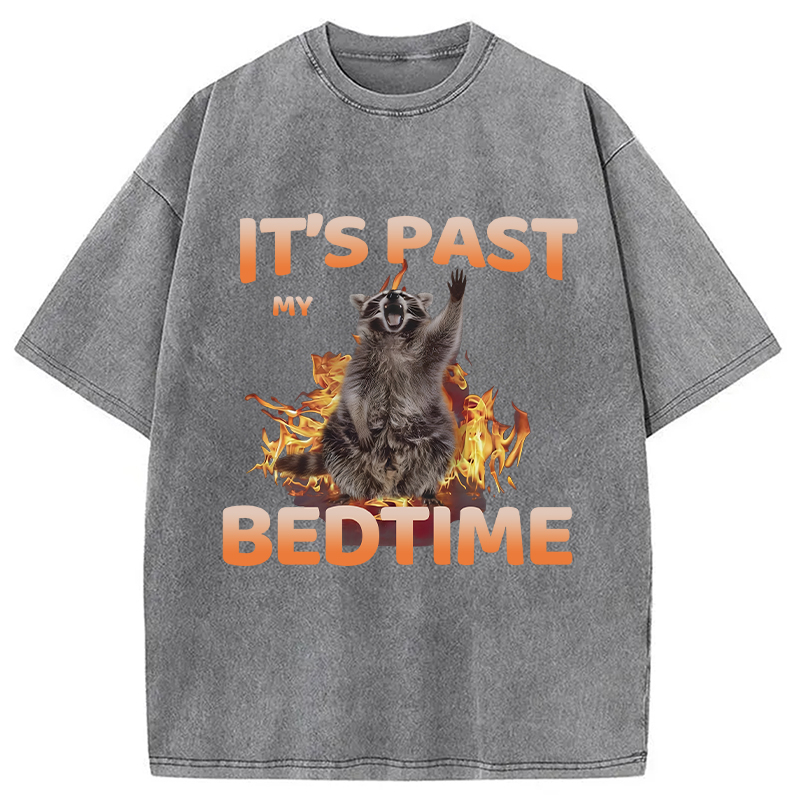 Tokyocanvas It's Past My Bedtime Washed T-Shirt