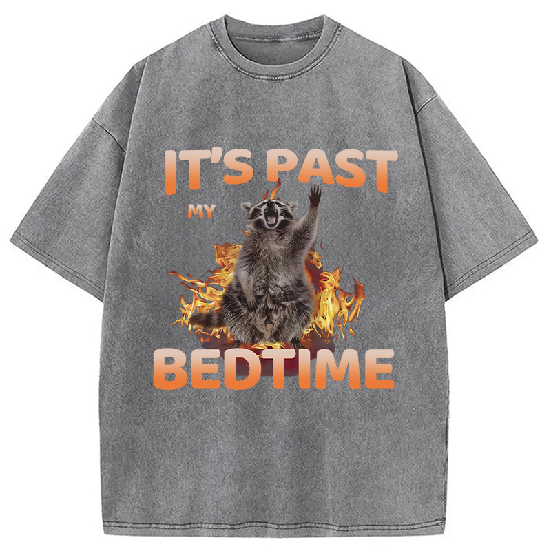 Tokyocanvas It's Past My Bedtime Washed T-Shirt
