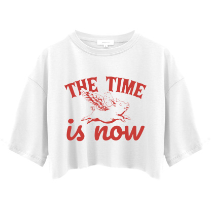 Tokyocanvas Flying Pig Crop Top