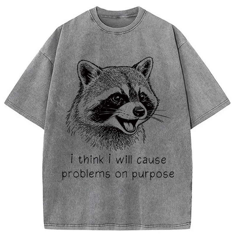 Tokyocanvas Stupid Raccoon Funny Washed T-Shirt