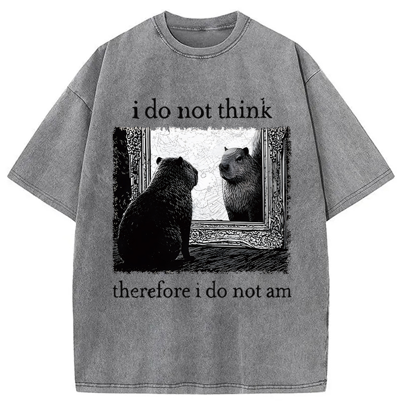 Tokyocanvas Capybara Paradox Washed T-Shirt