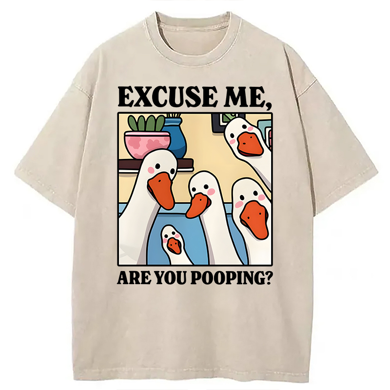 Tokyocanvas Are You Pooping Goose Meme Washed T-Shirt