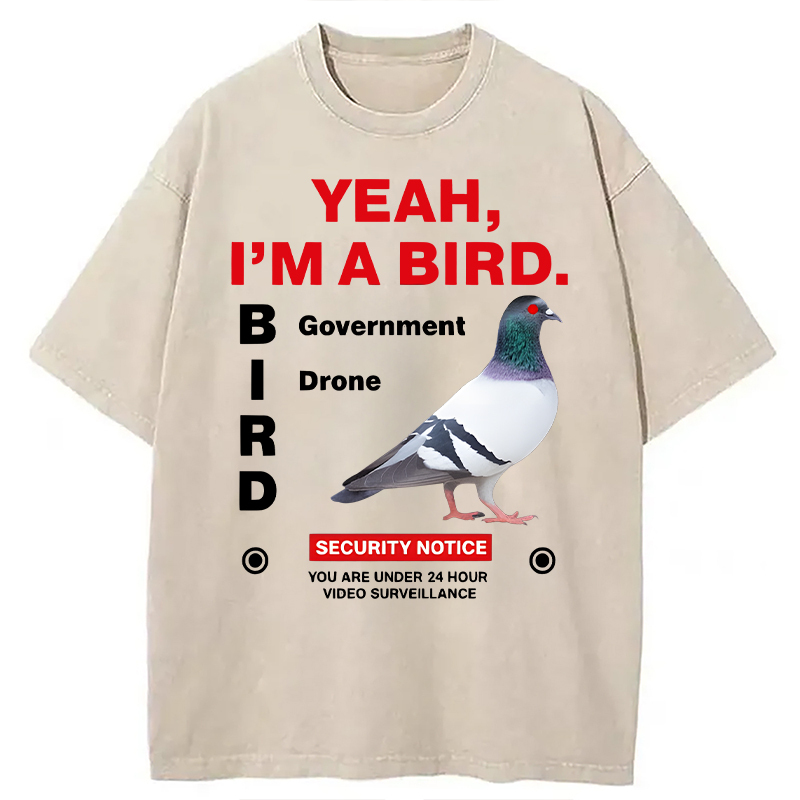 Tokyocanvas Government Funny Pigeon Puns Washed T-Shirt