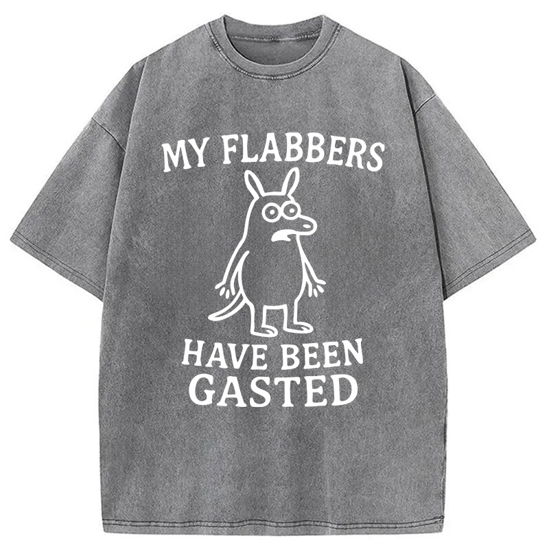 Tokyocanvas My Flabbers Have Been Gasted Funny Meme Washed T-Shirt