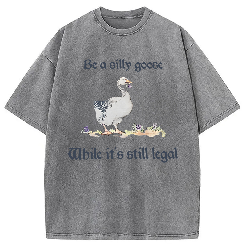 Tokyocanvas Be A Silly Goose Washed T-Shirt