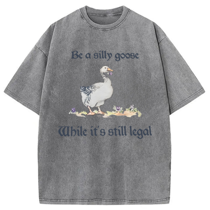 Tokyocanvas Be A Silly Goose Washed T-Shirt