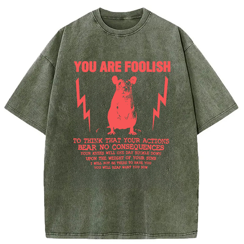 Tokyocanvas You Are Foolish Rat Meme Washed T-Shirt