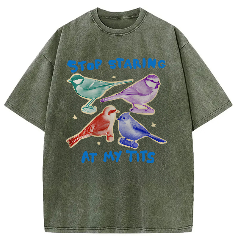 Tokyocanvas Stop Staring At My Tits Washed T-Shirt